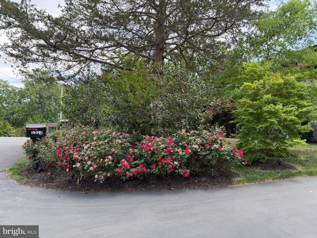 1513 OAKVIEW DR, Mclean, VA 22101