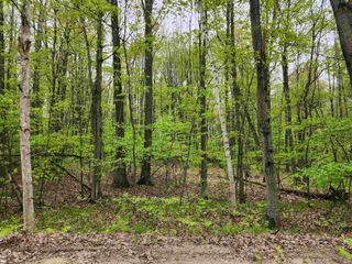 Lot 782 Elkhorn Way, Farwell, MI 48622