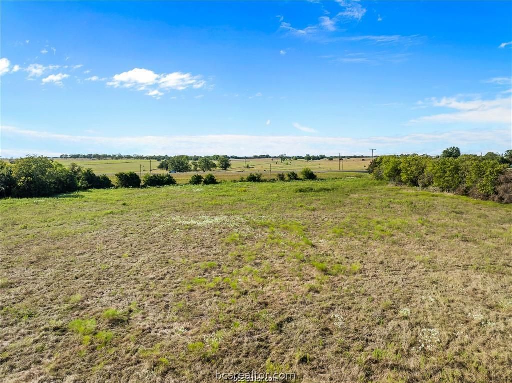 23.84 Acres CR 116, Caldwell, TX 77836 — photo 4