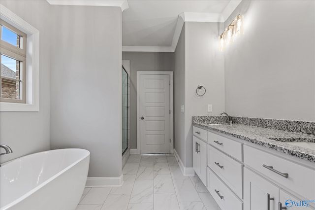 29350 Carnaby Lane, Toney, AL 35773