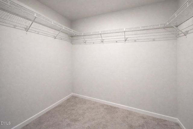 10 Mitchell Ridge Drive, Youngsville, NC 27596