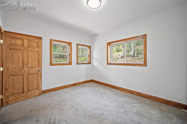 126 Saguache Drive, Florissant, CO 80816