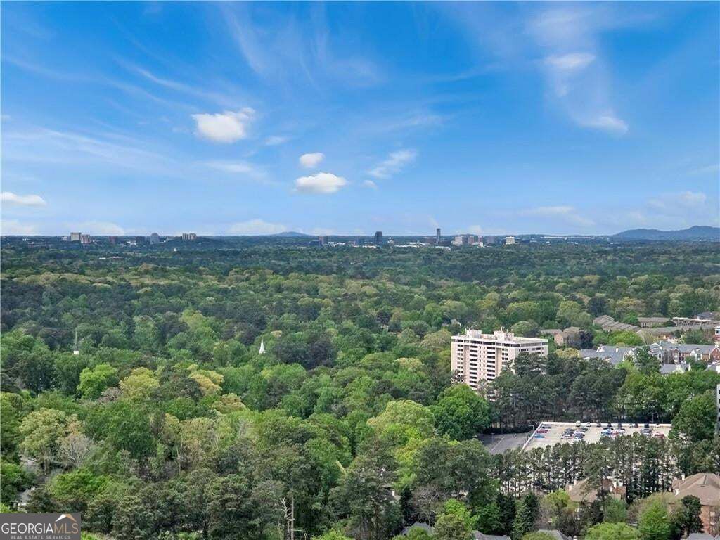 3325 Piedmont Road NE 2603, Atlanta, GA 30305 — photo 3
