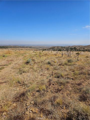 116 E Street East, Juniper Hills, CA 93543