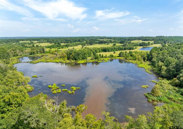 20620 W Grove Club Lake Rd, Whitehouse, TX 75791