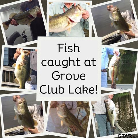 20620 W Grove Club Lake Rd, Whitehouse, TX 75791