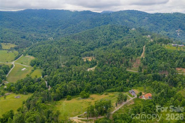 00000 Bear View Road, Weaverville, NC 28787