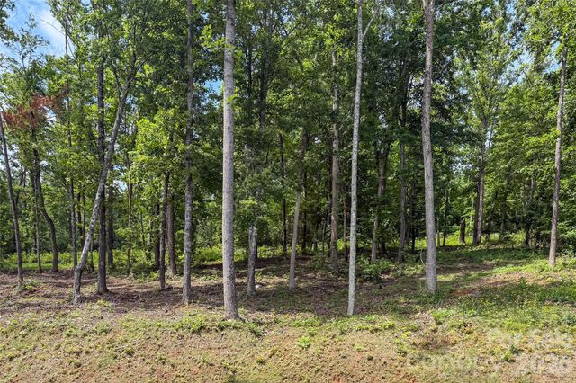 00000 Bear View Road, Weaverville, NC 28787