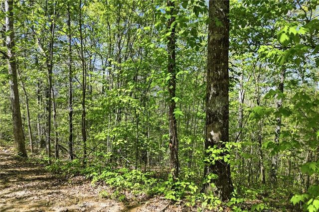 1933 Highway 136 W, Talking Rock, GA 30175