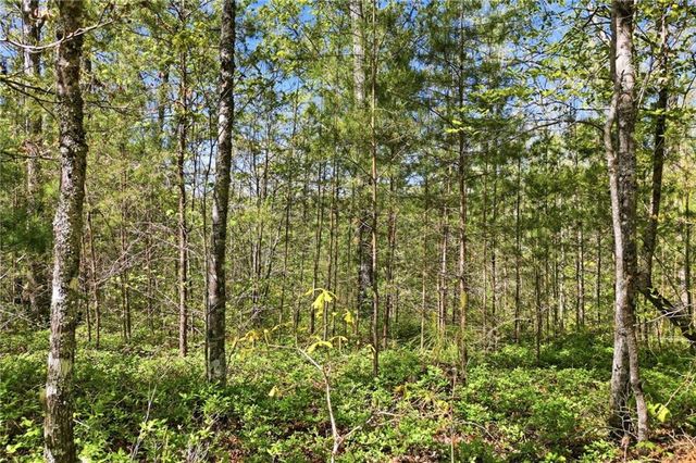 1933 Highway 136 W, Talking Rock, GA 30175