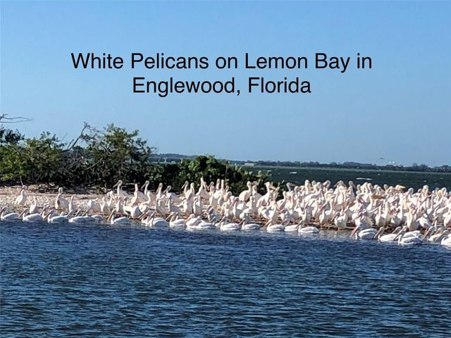 9082 COACHMAN DRIVE, Venice, FL 34293