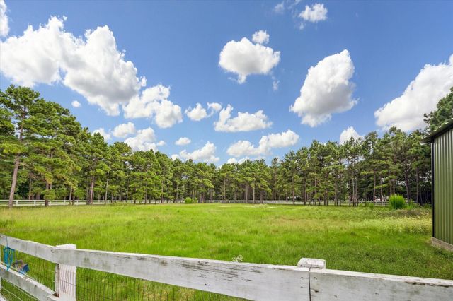 19803 Ruby Terrace Lane, Magnolia, TX 77355
