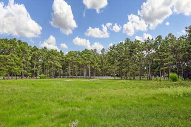 19803 Ruby Terrace Lane, Magnolia, TX 77355