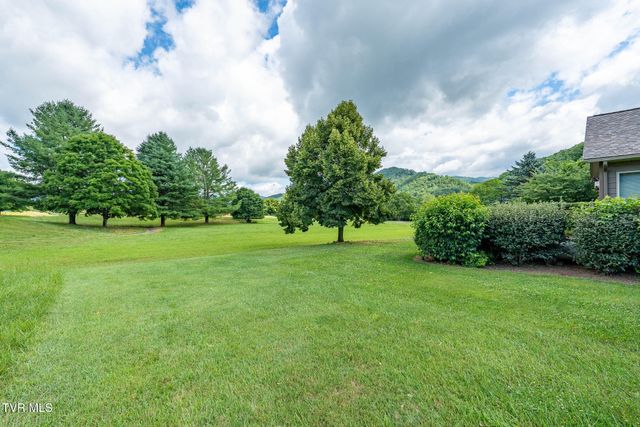 340 & 338 Red Tail Mountain Drive, Mountain City, TN 37683