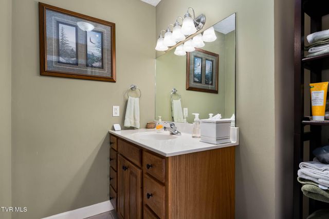 340 & 338 Red Tail Mountain Drive, Mountain City, TN 37683