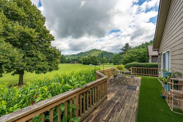 340 & 338 Red Tail Mountain Drive, Mountain City, TN 37683