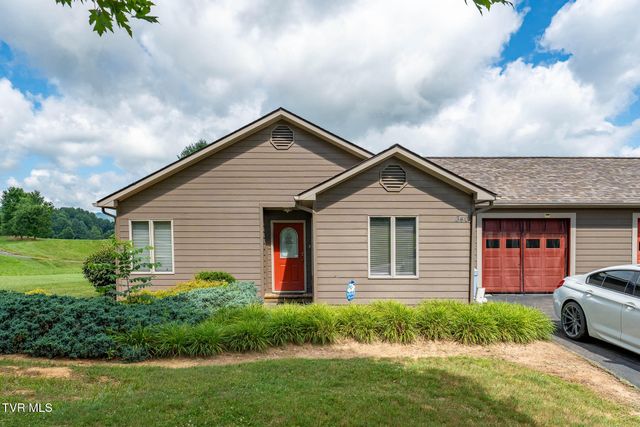 340 & 338 Red Tail Mountain Drive, Mountain City, TN 37683