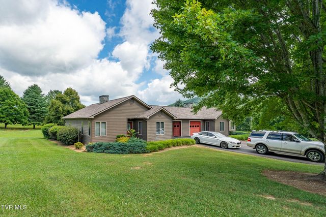 340 & 338 Red Tail Mountain Drive, Mountain City, TN 37683