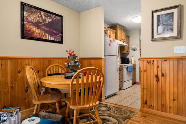 340 & 338 Red Tail Mountain Drive, Mountain City, TN 37683