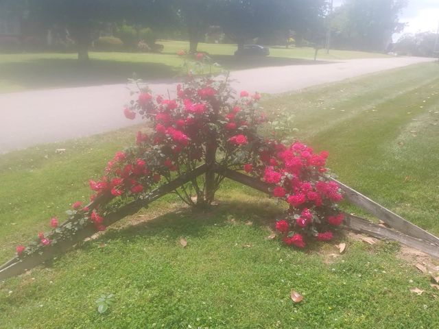 913 Bedford Pl, Columbia, TN 38401