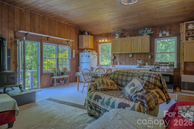 1712 Little Creek Road, Hot Springs, NC 28743