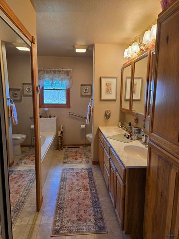 21860 RUNNING DEER TRL, Piedmont, SD 57769