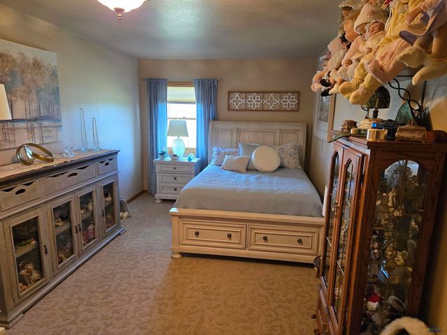 21860 RUNNING DEER TRL, Piedmont, SD 57769