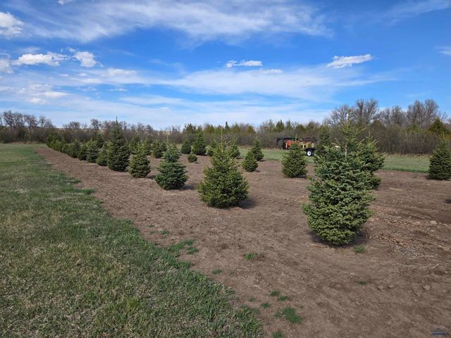 21860 RUNNING DEER TRL, Piedmont, SD 57769