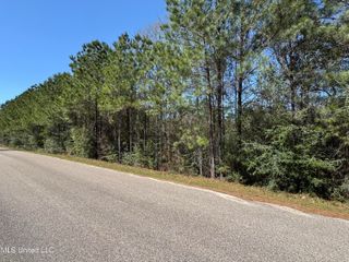 00 Conner Drive, Perkinston, MS 39573