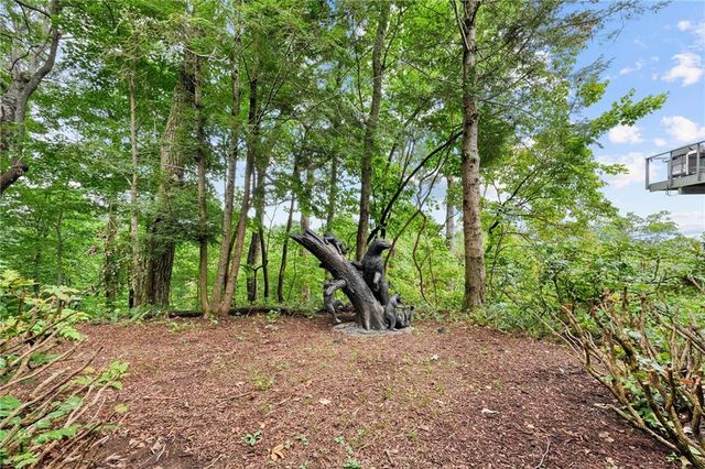 202 Sanderlin Mountain Drive N, Big Canoe, GA 30143