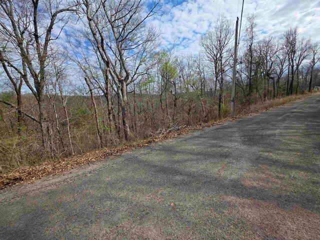 L-11, B-4 Will Scarlet Drive, Hardy, AR 72542