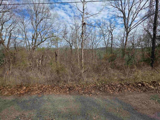 L-11, B-4 Will Scarlet Drive, Hardy, AR 72542