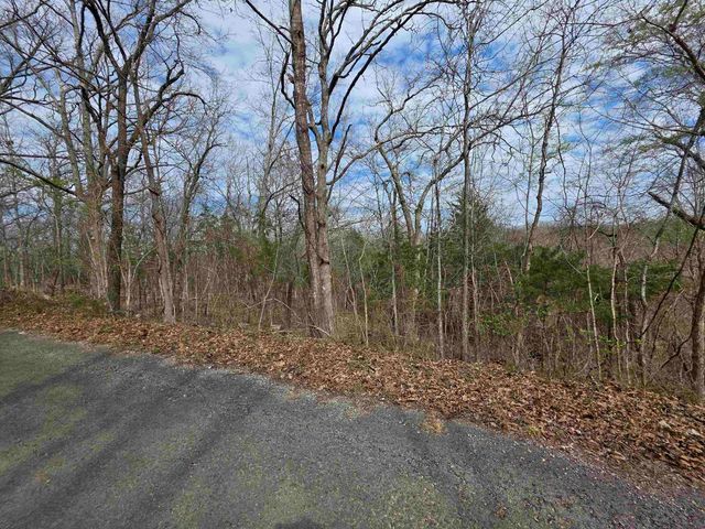 L-11, B-4 Will Scarlet Drive, Hardy, AR 72542