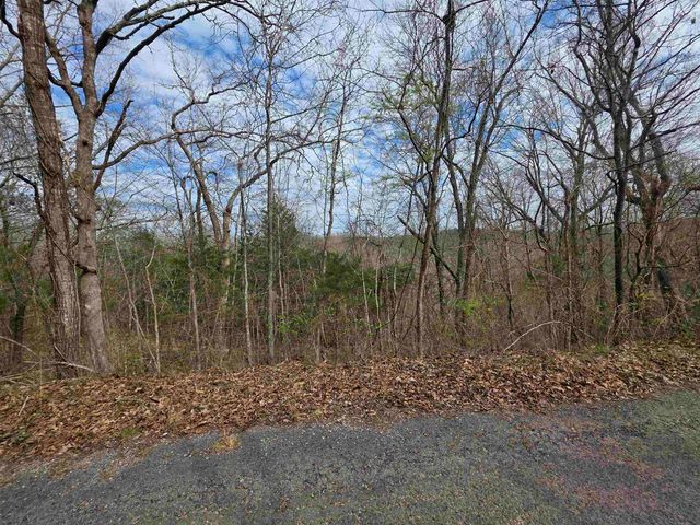 L-11, B-4 Will Scarlet Drive, Hardy, AR 72542