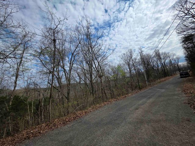 L-11, B-4 Will Scarlet Drive, Hardy, AR 72542