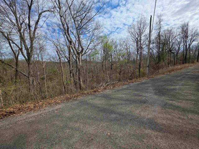 L-11, B-4 Will Scarlet Drive, Hardy, AR 72542