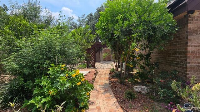 164 Mimosa Street, Rio Grande City, TX 78582
