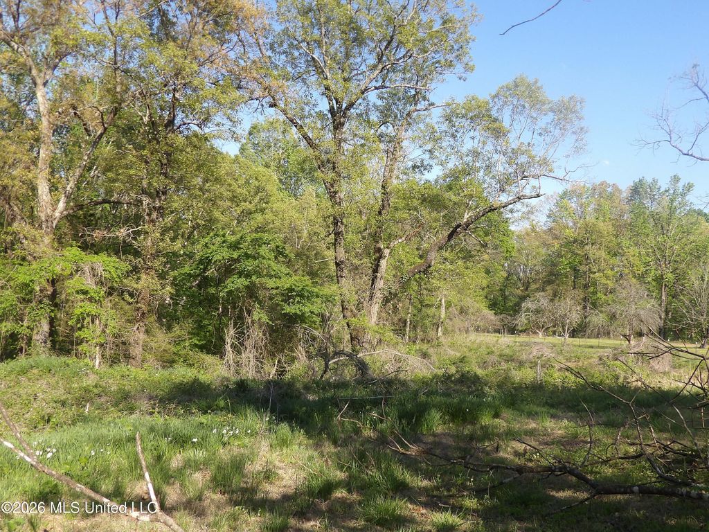 4269 Laws Hill Road, Waterford, MS 38685 — photo 2