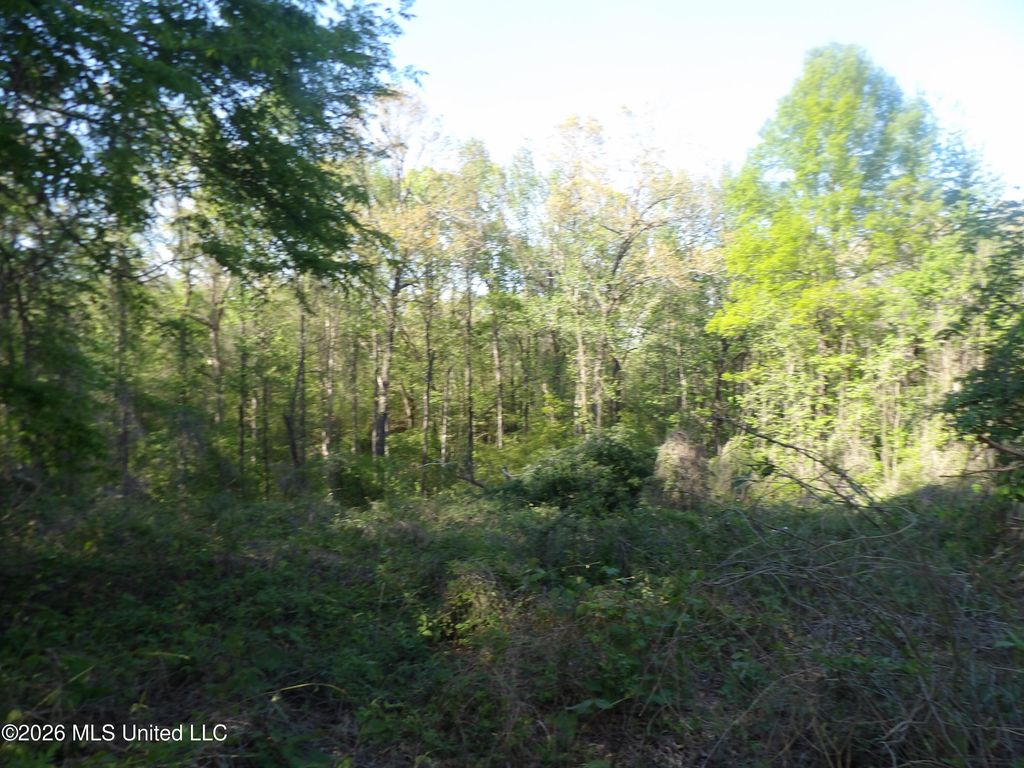 4269 Laws Hill Road, Waterford, MS 38685 — photo 5