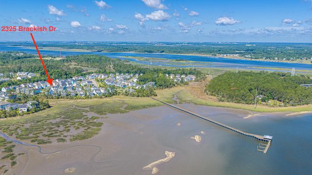 2325 Brackish Drive, Mount Pleasant, SC 29466