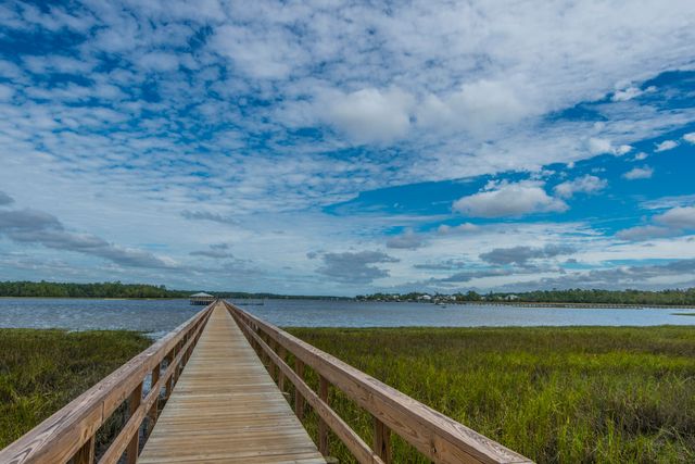 2325 Brackish Drive, Mount Pleasant, SC 29466