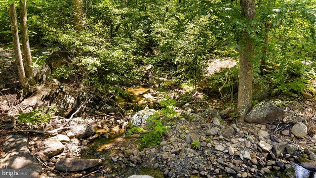 1319 CHAMPE PLAIN, Etlan, VA 22719