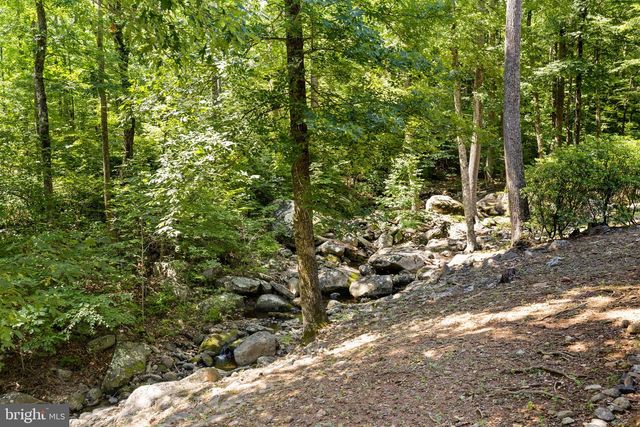 1319 CHAMPE PLAIN, Etlan, VA 22719