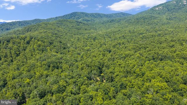 1319 CHAMPE PLAIN, Etlan, VA 22719
