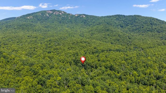 1319 CHAMPE PLAIN, Etlan, VA 22719