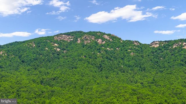 1319 CHAMPE PLAIN, Etlan, VA 22719