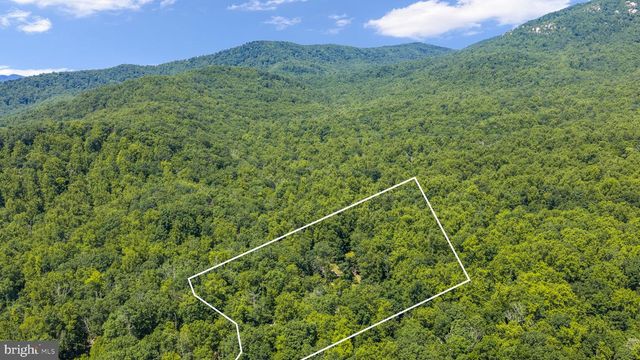 1319 CHAMPE PLAIN, Etlan, VA 22719