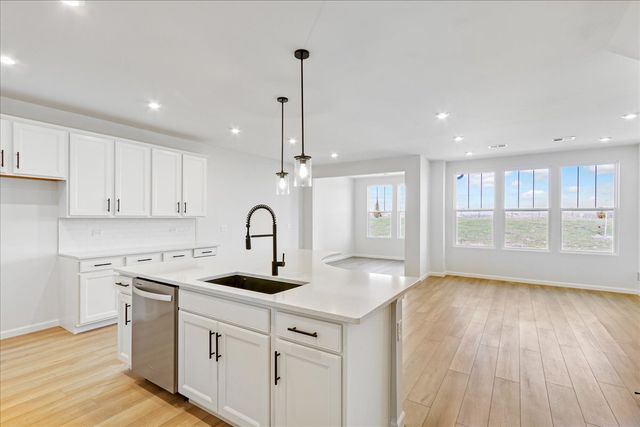 2212 Ryegrass Lane 78003, Bolingbrook, IL 60490