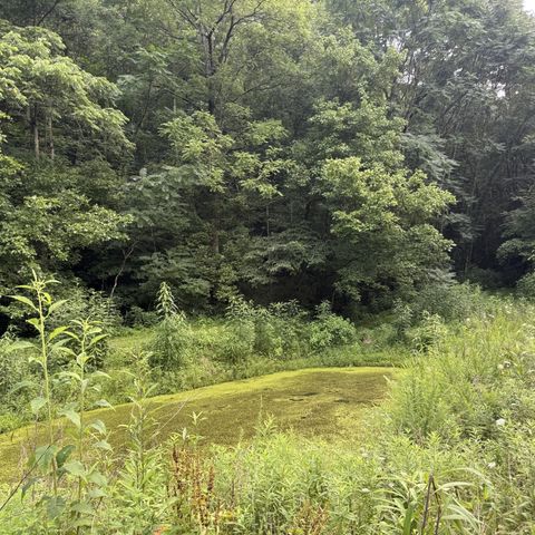 2625 Wartrace Hwy, Pleasant Shade, TN 37145