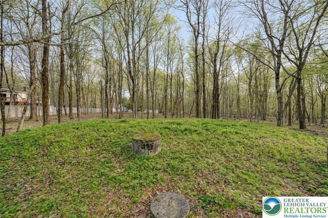 8 Wahoo Court, Penn Forest Twp, PA 18210